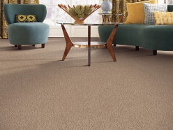 Montgomery's Carpetplus - 825 E Venice Ave Venice, FL 34285