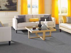 Palmetto Carpets - 4741 SW 75th Ave Miami, FL 33155
