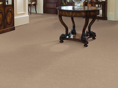Room Scene of Americana - Carpet by Masland Carpets
