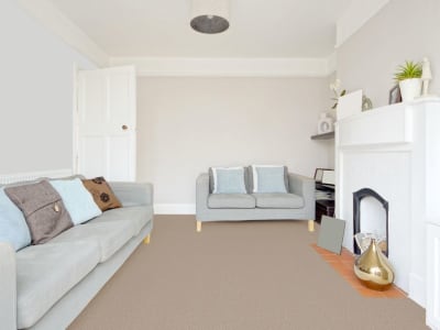 Room Scene of Exceptional - Carpet by Engineered Floors