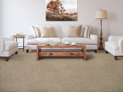 Room Scene of Medalist - Carpet by Mohawk Flooring