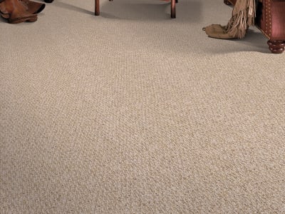 Room Scene of Calliope II - Carpet by Mohawk Flooring