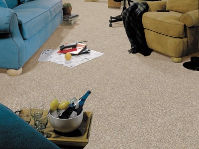 Room Scene of Natural Radiance - Carpet by Mohawk Flooring