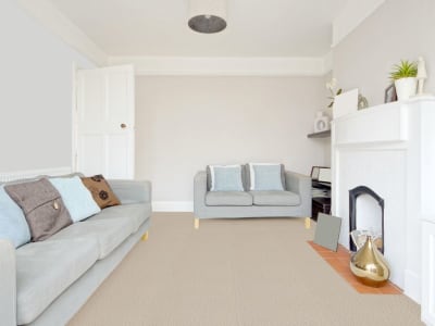 Room Scene of Remarkable - Carpet by Engineered Floors