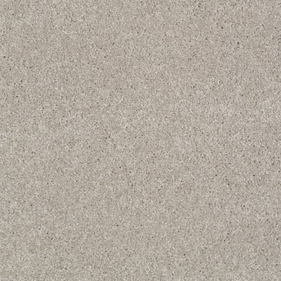 You Know It in Greige - Carpet by Shaw Flooring