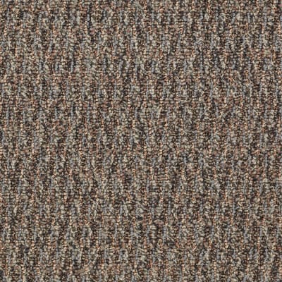 Speak Freely in Candid - Carpet by Shaw Flooring