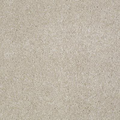 You Know It in Linen - Carpet by Shaw Flooring