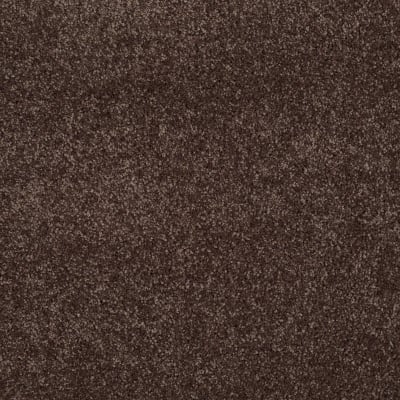 You Know It in Maple - Carpet by Shaw Flooring