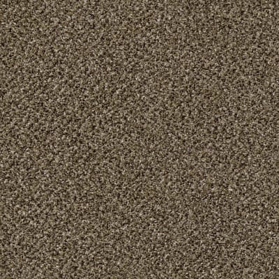 Because We Can I 12' in Pinecone - Carpet by Shaw Flooring