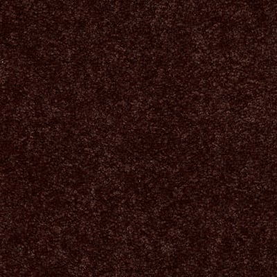 Dyersburg Classic 15' in Coffee - Carpet by Shaw Flooring