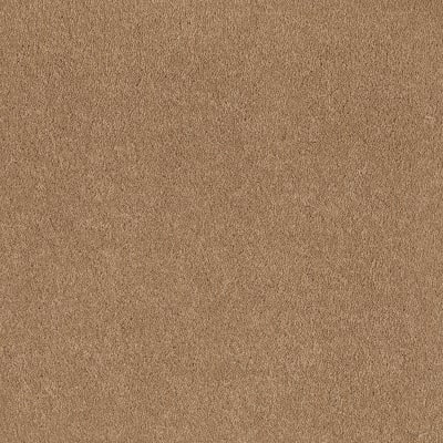 Sandy Hollow Classic I 12' in Cornfield - Carpet by Shaw Flooring