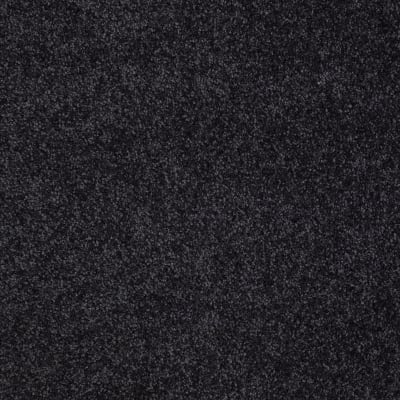 You Know It in Stunning Navy - Carpet by Shaw Flooring
