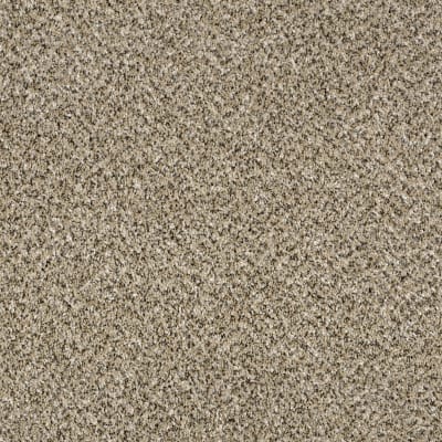 Because We Can I 12' in Sea Shell - Carpet by Shaw Flooring