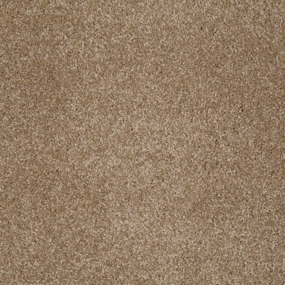 You Know It in Bridgewater Tan - Carpet by Shaw Flooring