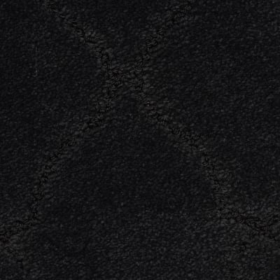 Chateau Marmont in Chauffer - Carpet by Masland Carpets