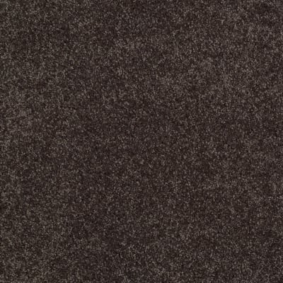 You Know It in Cabot Trail - Carpet by Shaw Flooring