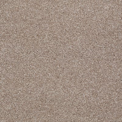 You Know It in Sombrero - Carpet by Shaw Flooring