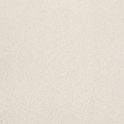 You Know It in Royal Silk - Carpet by Shaw Flooring