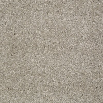 You Know It in Coastal Fog - Carpet by Shaw Flooring