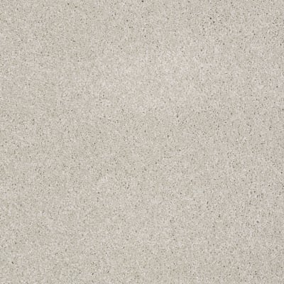 You Know It in Mist - Carpet by Shaw Flooring