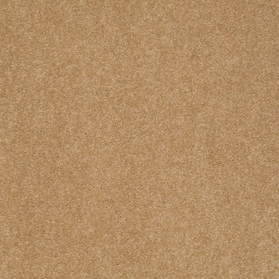 Shingle Creek I 12 in Cork - Carpet by Shaw Flooring