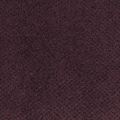 Montauk in Blackberry - Carpet by Masland Carpets