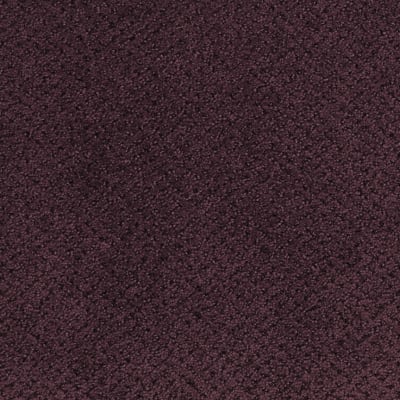 Montauk in Blackberry - Carpet by Masland Carpets