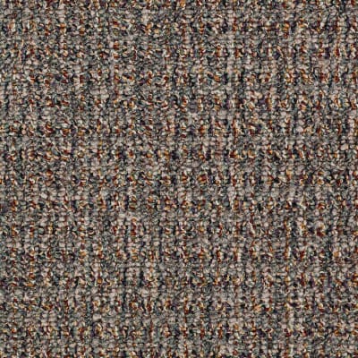 On The Cover in Top Choice - Carpet by Shaw Flooring