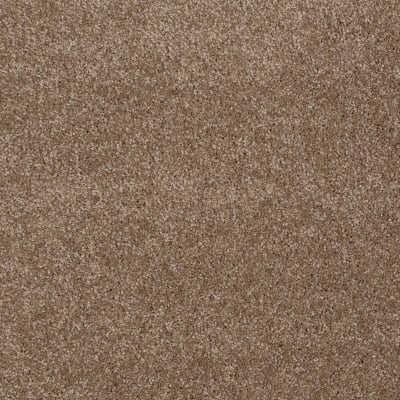 You Know It in Acorn - Carpet by Shaw Flooring