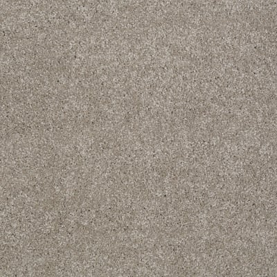 You Know It in Mocha Cream - Carpet by Shaw Flooring