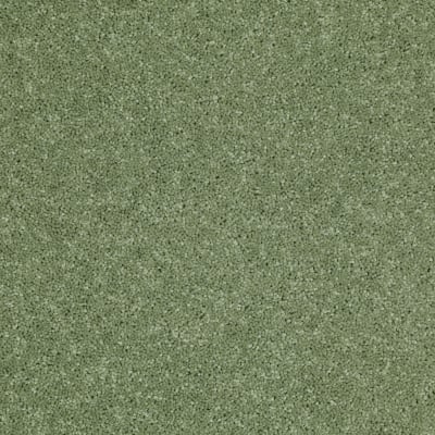 Dyersburg Classic 15' in Going Green - Carpet by Shaw Flooring