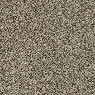 Because We Can I 12' in Cape Town - Carpet by Shaw Flooring