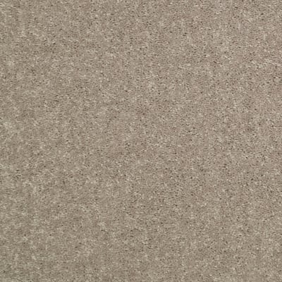 Newbern Classic 15' in Taupe Mist - Carpet by Shaw Flooring