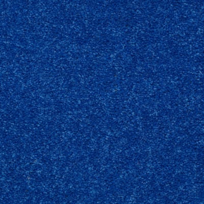 Newbern Classic 15' in Cobalt - Carpet by Shaw Flooring