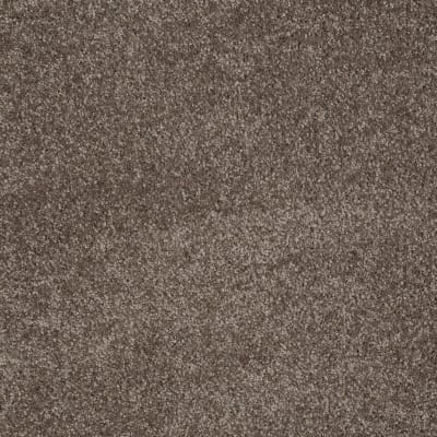 You Know It in Rustic Taupe - Carpet by Shaw Flooring