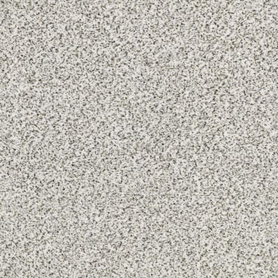Find Your Comfort Ta I in I'M Freezing (a) - Carpet by Shaw Flooring