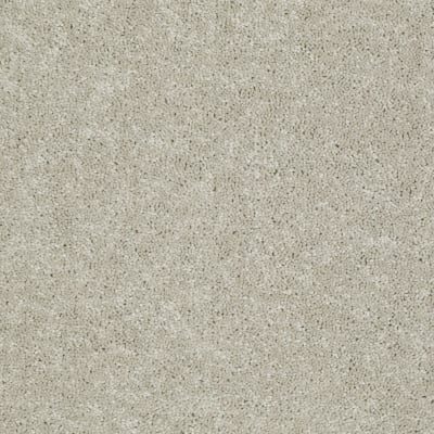Newbern Classic 15' in Dove - Carpet by Shaw Flooring