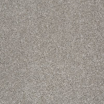 You Know It in Cocoa - Carpet by Shaw Flooring