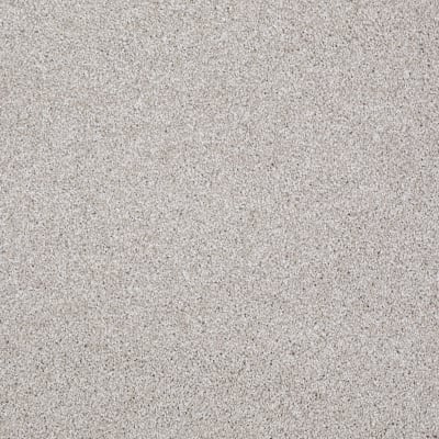 You Know It in Catnip - Carpet by Shaw Flooring