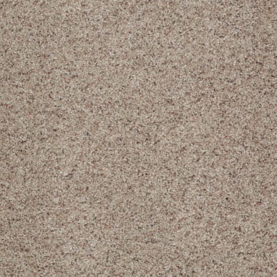 You Know It in Classic - Carpet by Shaw Flooring