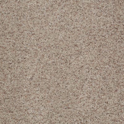 You Know It in Classic - Carpet by Shaw Flooring