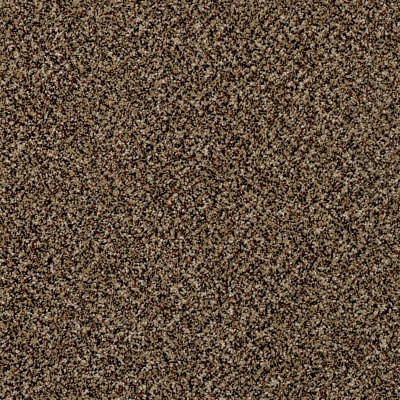 Because We Can I 12' in Raw Sienna - Carpet by Shaw Flooring