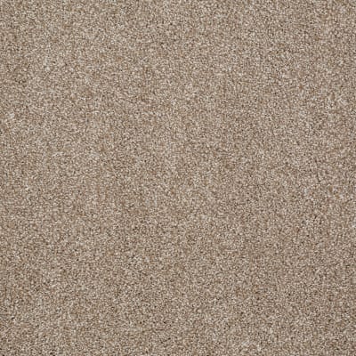 You Know It in Mole Hill - Carpet by Shaw Flooring