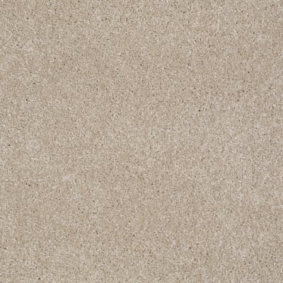 You Know It in French Canvas - Carpet by Shaw Flooring