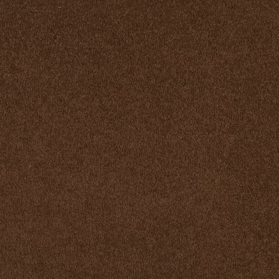 Timeless Appeal I 12' in Tortoise Shell - Carpet by Shaw Flooring