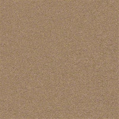 Second Glance in Desert View - Carpet by Shaw Flooring