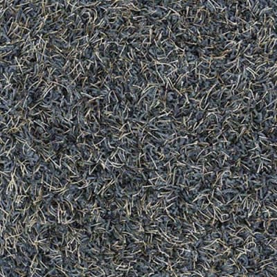 Bling in Peacock Blue - Carpet by Shaw Flooring