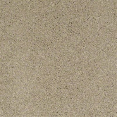 Quiet Comfort IV in Panama - Carpet by Shaw Flooring