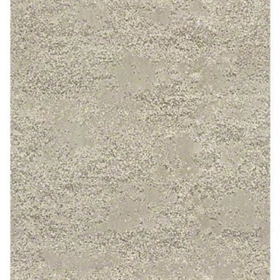 Tavares in Venetian - Carpet by Shaw Flooring