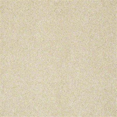 Platinum Texture 12' Net in Chenille Soft - Carpet by Shaw Flooring